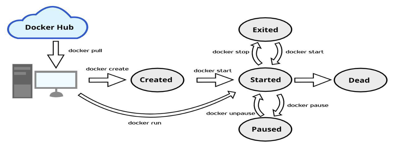 docker lifecycle